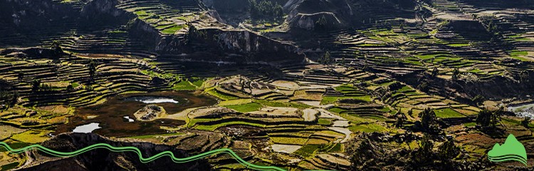 Colca Canyon