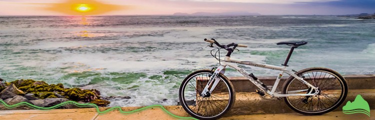 Bike Tour
